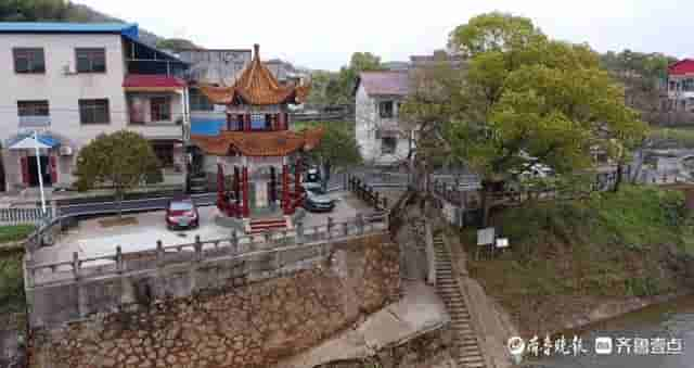 访马英九祖辈生息地：湘江畔的平静小镇，油菜花开得正旺