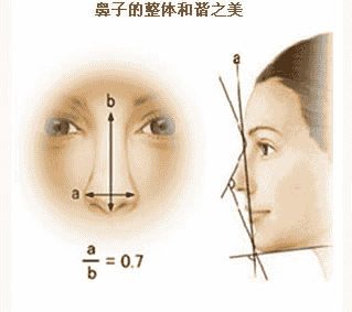 韩啸艺术与整形弟子团队王召东：科普隆鼻整形适宜范围及护理方法