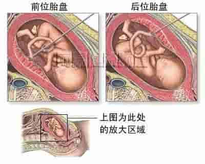 【干货】解剖图，这么全，不留用后悔啊！