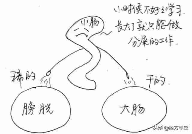 中医漫画，身体十二经络“值班表”！「QH岐黄网」