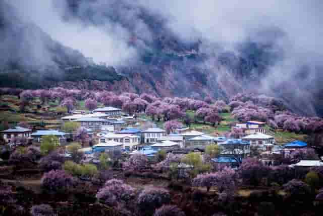 九首村居诗词，最美不过田园生活