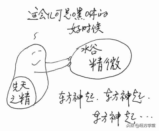 中医漫画，身体十二经络“值班表”！「QH岐黄网」