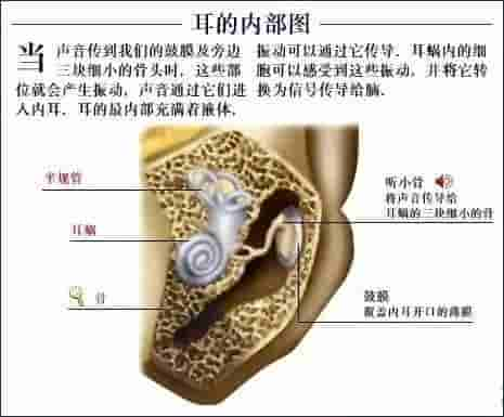 【干货】解剖图，这么全，不留用后悔啊！