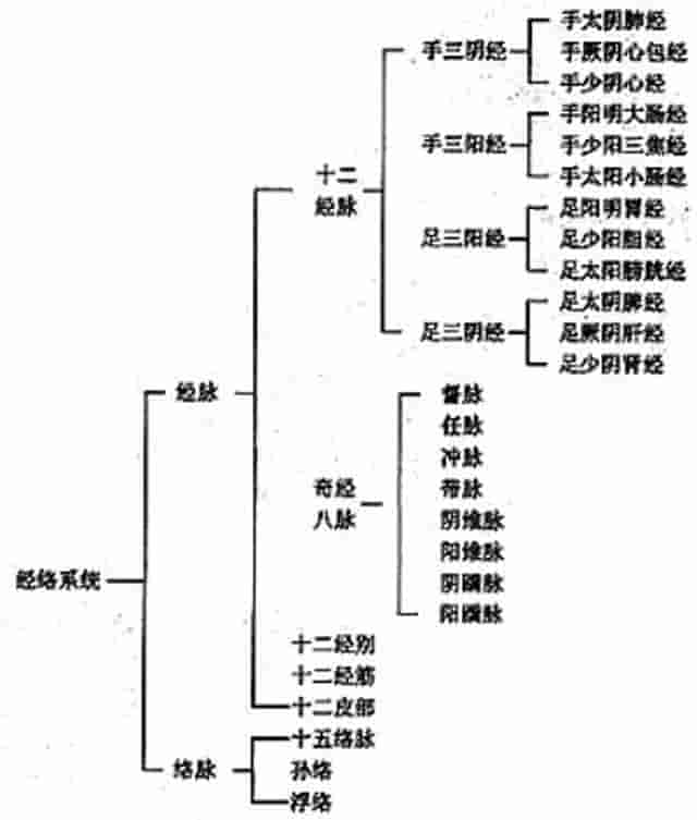 人体十二经络，基础入门总结