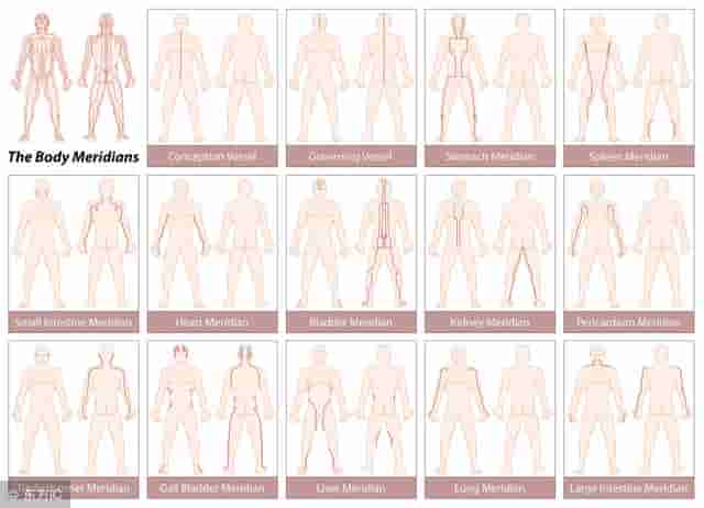 人体十二经络，基础入门总结