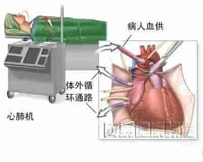 【干货】解剖图，这么全，不留用后悔啊！