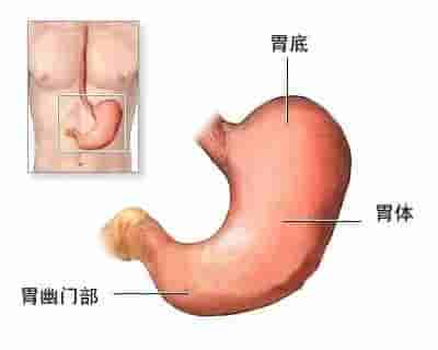 【干货】解剖图，这么全，不留用后悔啊！