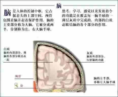 【干货】解剖图，这么全，不留用后悔啊！