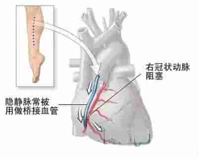 【干货】解剖图，这么全，不留用后悔啊！