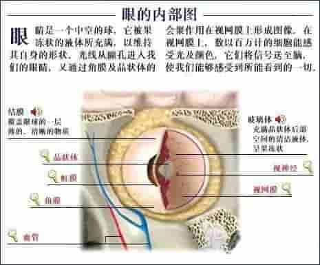 【干货】解剖图，这么全，不留用后悔啊！