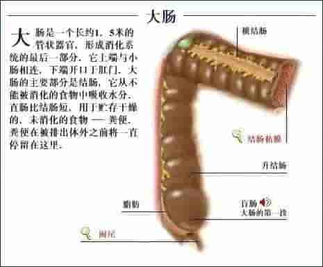 【干货】解剖图，这么全，不留用后悔啊！