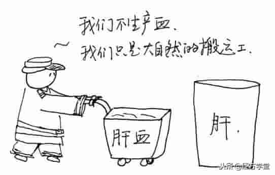 中医漫画，身体十二经络“值班表”！「QH岐黄网」