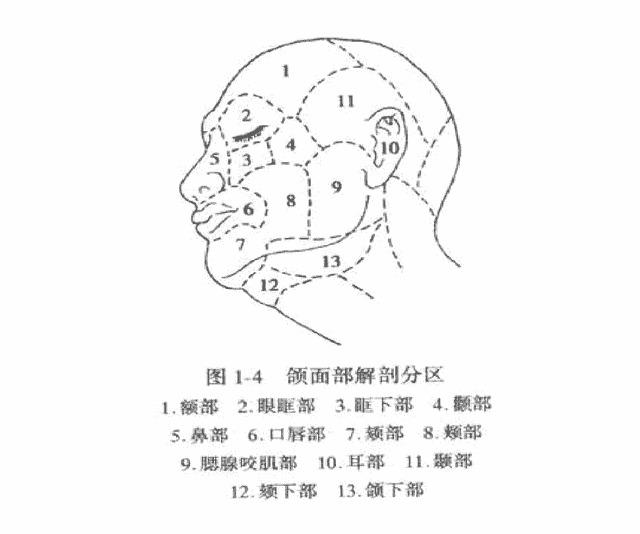 颌面发育异常都有哪些症状表象