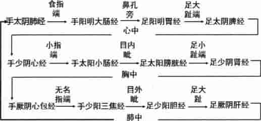 人体十二经络，基础入门总结