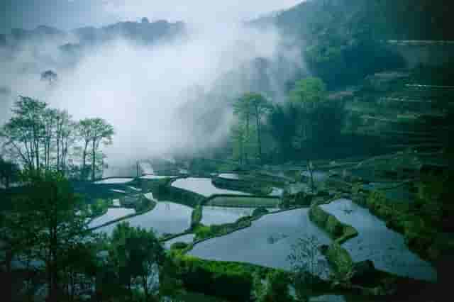 九首村居诗词，最美不过田园生活