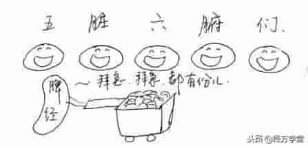 中医漫画，身体十二经络“值班表”！「QH岐黄网」