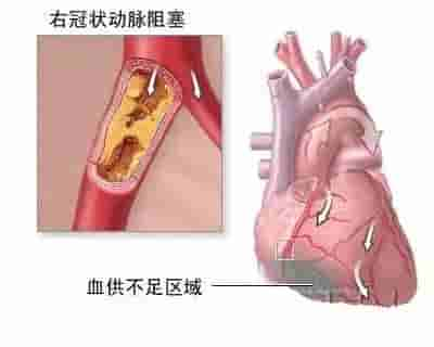 【干货】解剖图，这么全，不留用后悔啊！