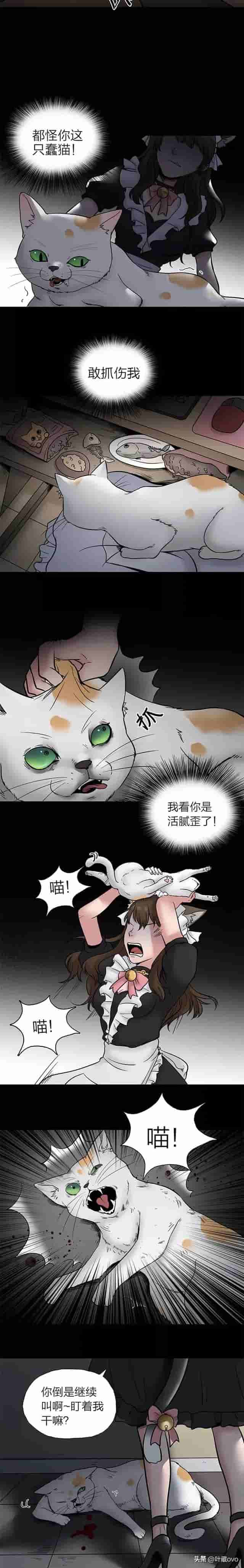 人性漫画：《猫项圈》看似可爱的虐猫女主播