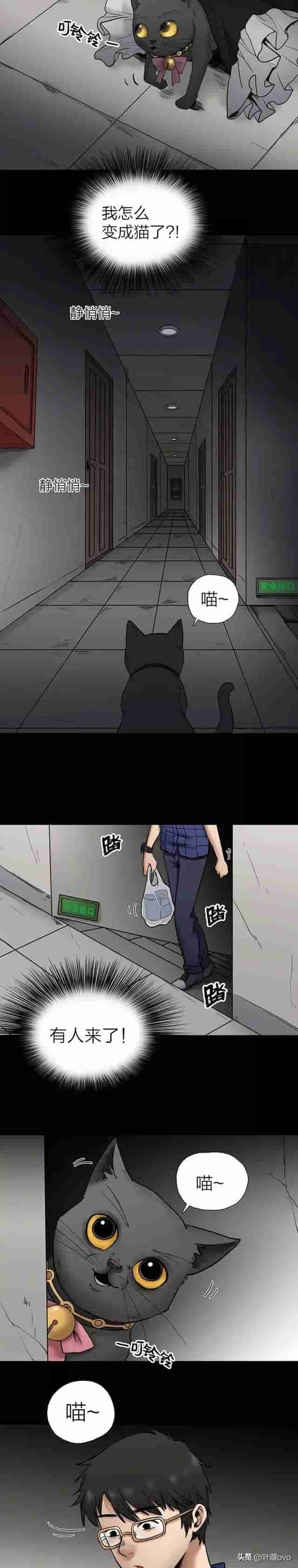 人性漫画：《猫项圈》看似可爱的虐猫女主播