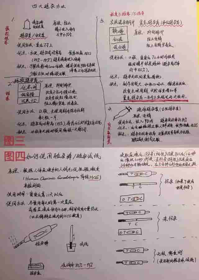 走近科学，探究一周流七天血还不会死的神奇生物——女生！