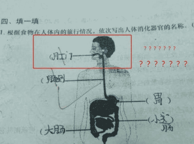 女老师穿人体器官服上课，学生都不好意思看，专家质疑：尺度过大