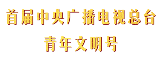 建团百年，他（她）们，成为总台最亮的“星”