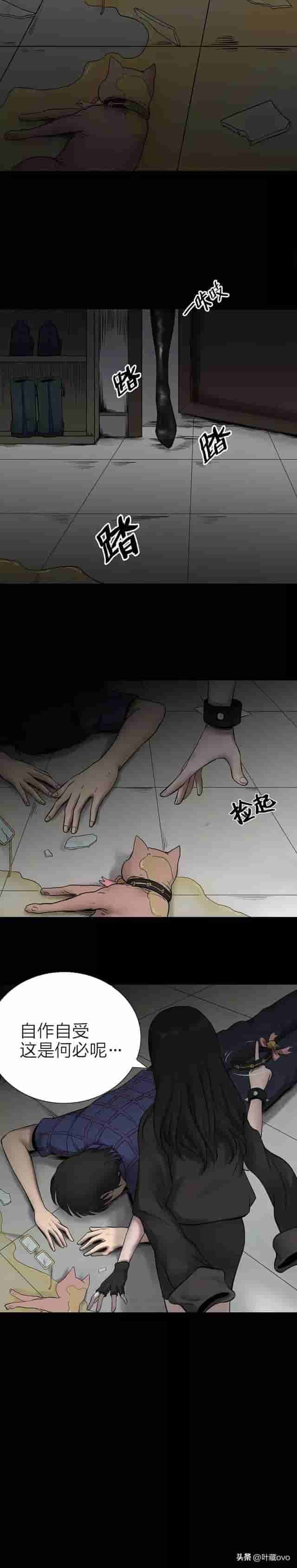 人性漫画：《猫项圈》看似可爱的虐猫女主播