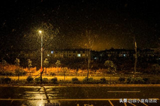 雨夜听雨，浮生入梦