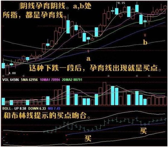 游资大佬投资感悟：看见这种股票必定要买入，实战图解教你分析强势牛股