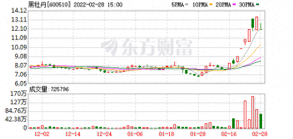 多主力现身龙虎榜，黑牡丹下跌6.97%（03-18）