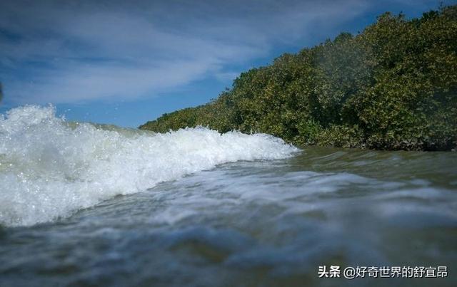 涨退潮时间可计算，和月亮大有关系，你可曾想天上地下有联系