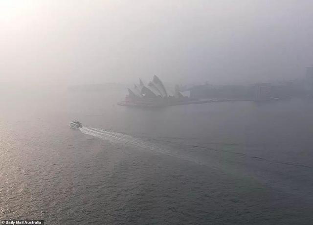 火还在烧！澳大利亚又遇30年罕见大暴雨和洪灾！太吓人了...