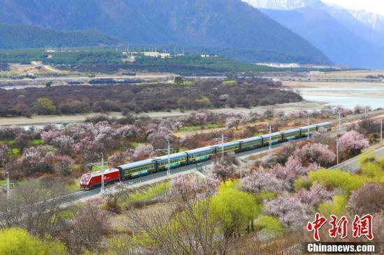 “拉林铁路+桃花”开启别样赏花之旅