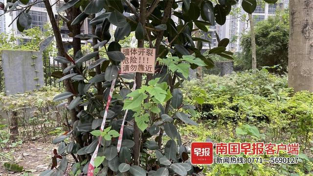 南宁一小区想成立业委会遇麻烦，投票面积未达标，业主大会属无效