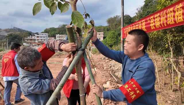 以绿为底，云浮乡村向美而行！