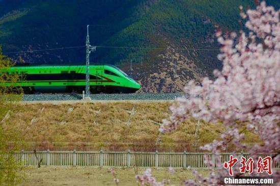 “拉林铁路+桃花”开启别样赏花之旅