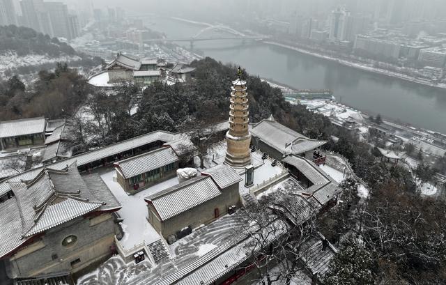 诗意中国丨白雪却嫌春色晚，故穿庭树作飞花#