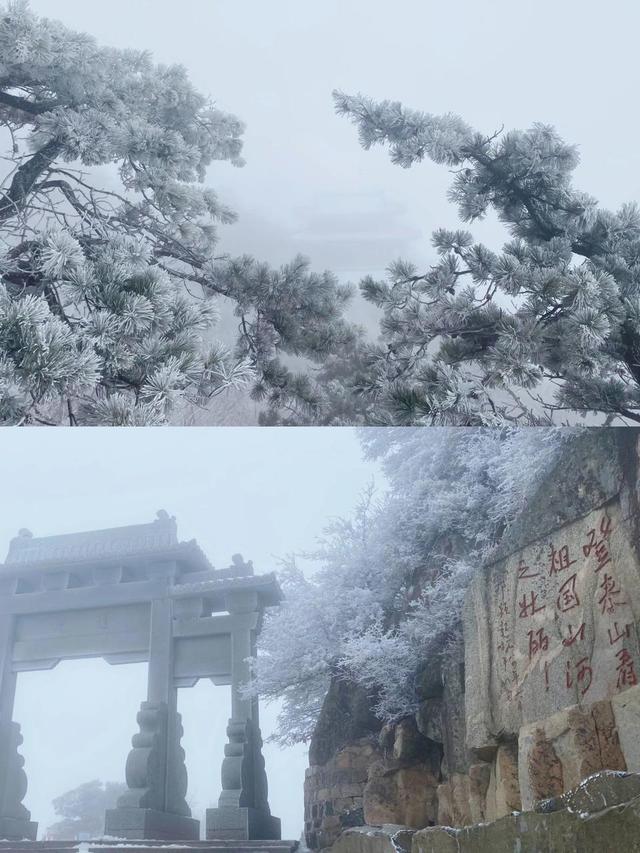 冬季旅游必打卡！泰山之巅一到冬天就美出天际