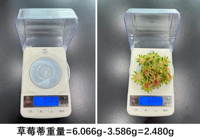 现在的水果有多贵？实测8种水果的一口价，我一口也不敢多吃了...