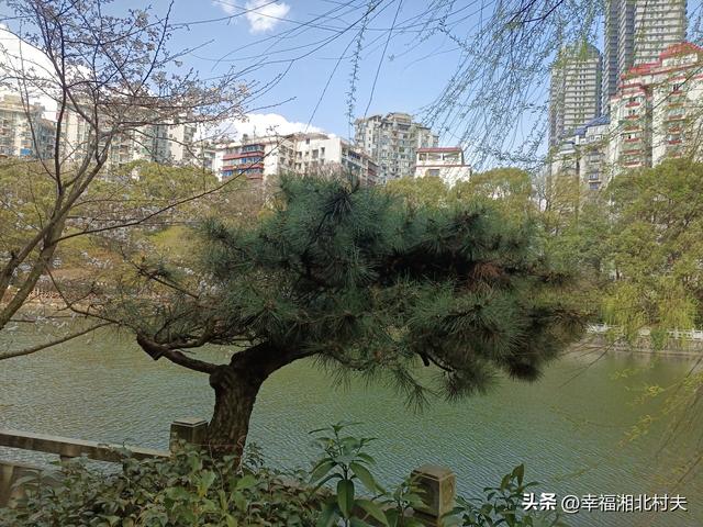 漫步长沙市西湖公园