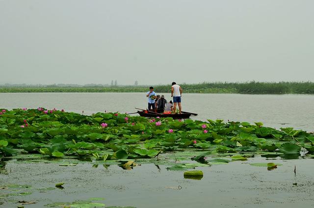 「枣庄文化」传说，微山湖在六百年并非湖泊，而是名叫留城