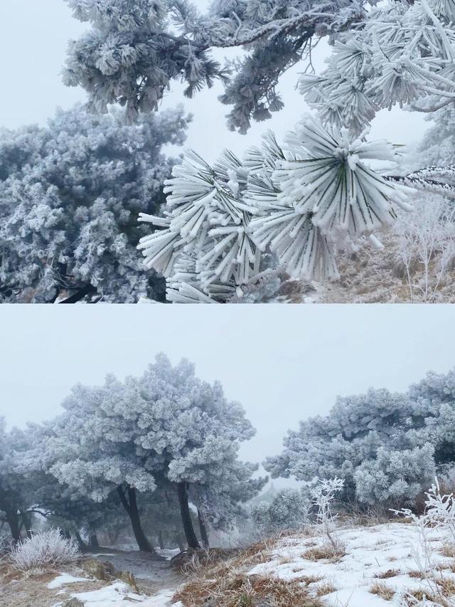 冬季旅游必打卡！泰山之巅一到冬天就美出天际