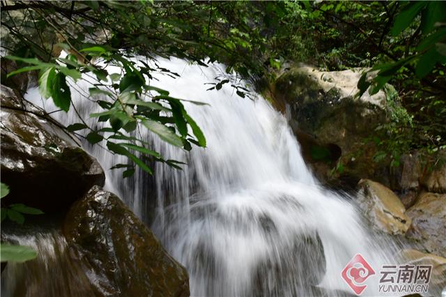 早安云南｜尼珠河大峡谷：世界第一高桥坐落的地方，神奇壮美的遗失秘境