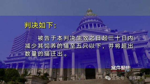 只要开窗，就有浓烈恶臭飘进室内！原来是楼上邻居……