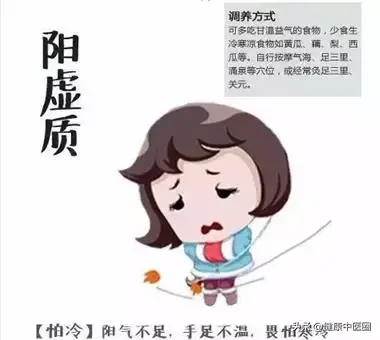 给你一张最全的中医体质食疗单