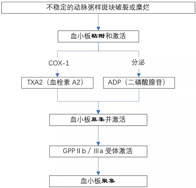 阿司匹林、氯吡格雷、替格瑞诺、替罗非班：四种抗血小板药的区别