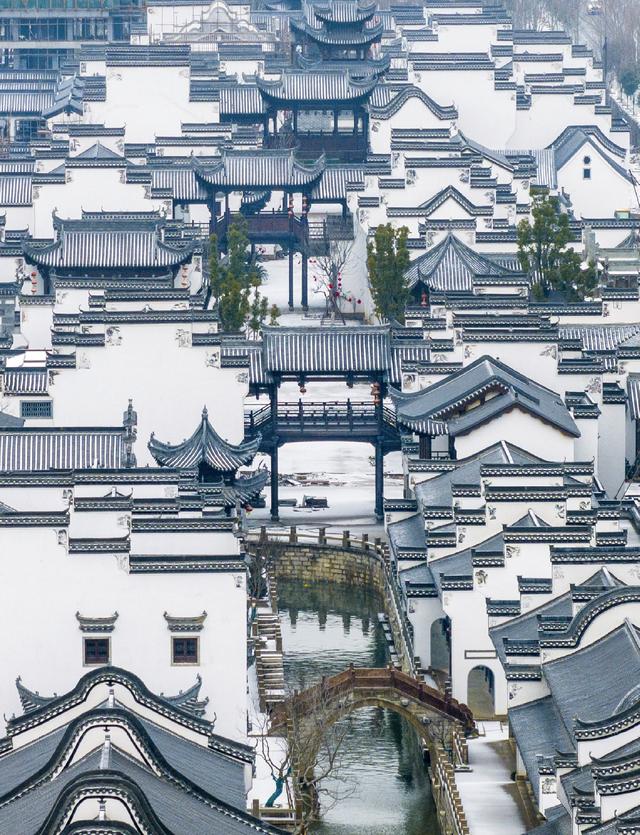 诗意中国丨白雪却嫌春色晚，故穿庭树作飞花#