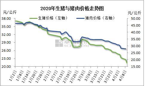 卓创红期：猪价跌至低谷 但为何屠企上量依旧这么难？