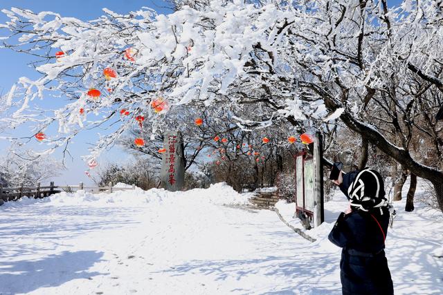 诗意中国丨白雪却嫌春色晚，故穿庭树作飞花#