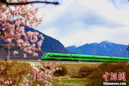 “拉林铁路+桃花”开启别样赏花之旅